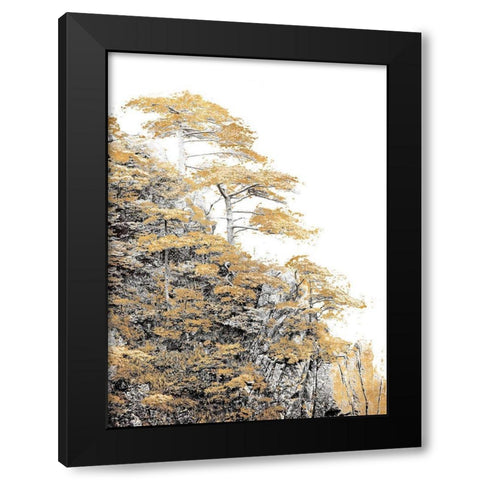 Immortal Pine Black Modern Wood Framed Art Print with Double Matting by Lake, Shelley
