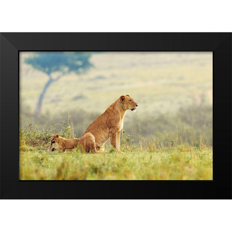 A Lions Tail Black Modern Wood Framed Art Print by Lake, Shelley