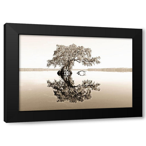 Reflective View Black Modern Wood Framed Art Print by Nawrocke, Bruce