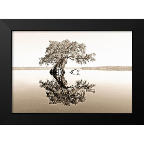 Reflective View Black Modern Wood Framed Art Print by Nawrocke, Bruce