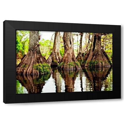 Tree Stumps Black Modern Wood Framed Art Print with Double Matting by Nawrocke, Bruce