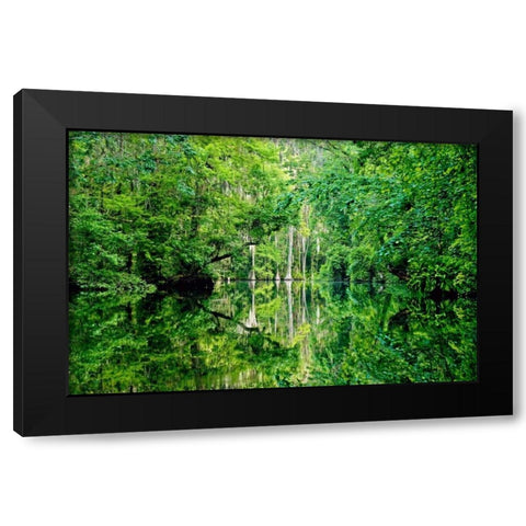 Serenity Black Modern Wood Framed Art Print with Double Matting by Nawrocke, Bruce