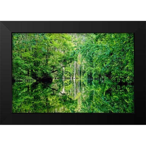 Serenity Black Modern Wood Framed Art Print by Nawrocke, Bruce