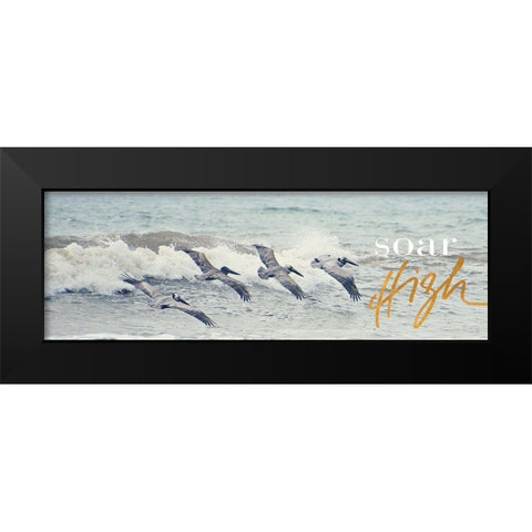 Soar High Black Modern Wood Framed Art Print by Nawrocke, Bruce
