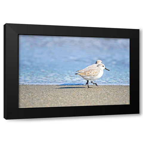 Walk Along The Coast Black Modern Wood Framed Art Print with Double Matting by Nawrocke, Bruce