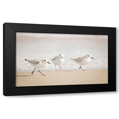 Stroll On Black Modern Wood Framed Art Print with Double Matting by Nawrocke, Bruce