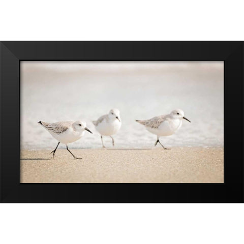 Stroll On Black Modern Wood Framed Art Print by Nawrocke, Bruce