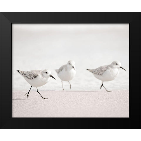 Side by Side Black Modern Wood Framed Art Print by Nawrocke, Bruce