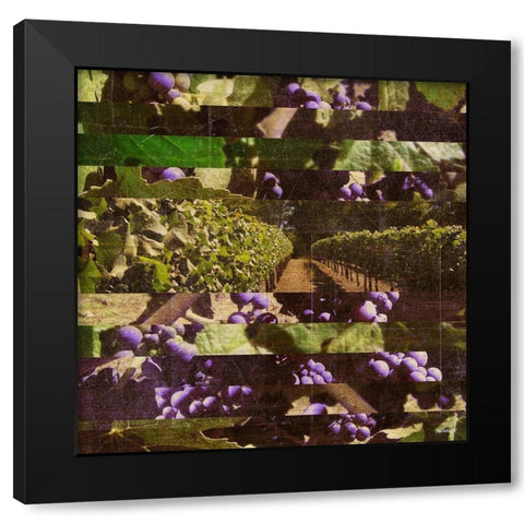 Vinecraft Horizons I Black Modern Wood Framed Art Print with Double Matting by Meneely, Dan