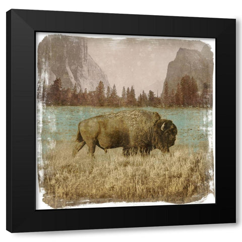 Bison in the Park Black Modern Wood Framed Art Print with Double Matting by Meneely, Dan