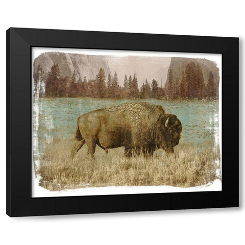 Bison in the Park Black Modern Wood Framed Art Print with Double Matting by Meneely, Dan