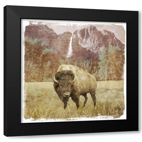 Bison Falls Black Modern Wood Framed Art Print by Meneely, Dan