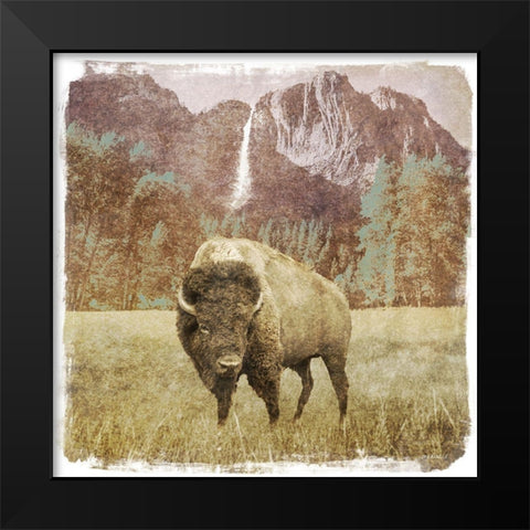 Bison Falls Black Modern Wood Framed Art Print by Meneely, Dan