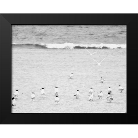 The Coastline Flock Black Modern Wood Framed Art Print by Bill Carson Photography