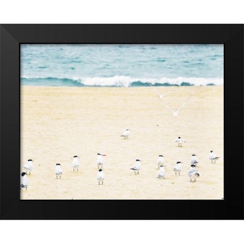 Relaxed Seagulls Black Modern Wood Framed Art Print by Bill Carson Photography