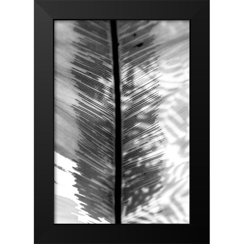 BW Leaf Black Modern Wood Framed Art Print by Bill Carson Photography