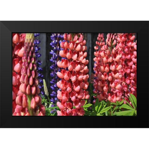 Joyful Flowers Black Modern Wood Framed Art Print by Coppel, Anna