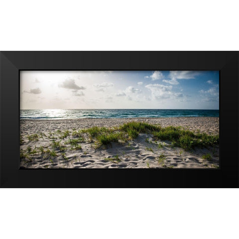 Daylight Views Black Modern Wood Framed Art Print by Bill Carson Photography
