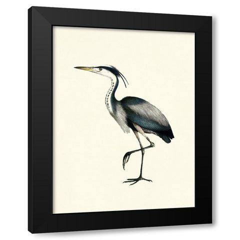 Bird I on Cream Black Modern Wood Framed Art Print with Double Matting by Piddix