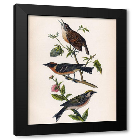 Bird Branch Black Modern Wood Framed Art Print by Piddix