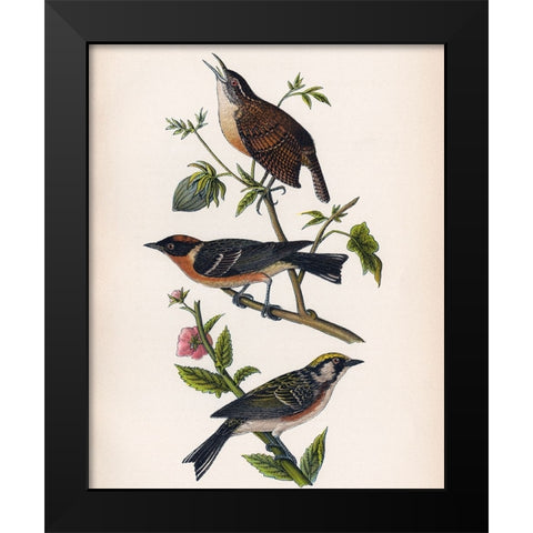 Bird Branch Black Modern Wood Framed Art Print by Piddix