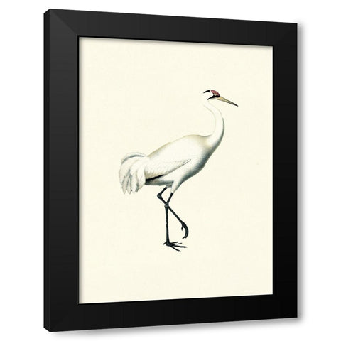 Bird III on Cream Black Modern Wood Framed Art Print with Double Matting by Piddix