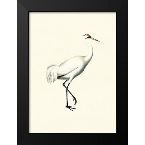 Bird III on Cream Black Modern Wood Framed Art Print by Piddix