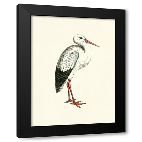 Bird II on Cream Black Modern Wood Framed Art Print with Double Matting by Piddix