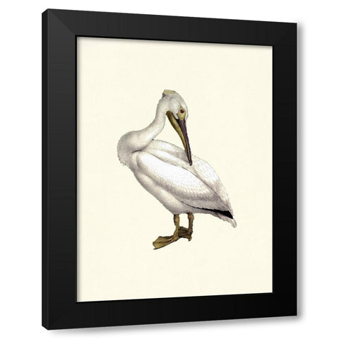 Bird IV on Cream Black Modern Wood Framed Art Print by Piddix