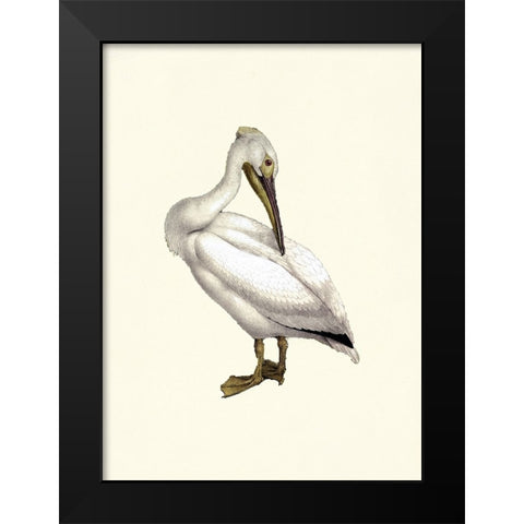 Bird IV on Cream Black Modern Wood Framed Art Print by Piddix