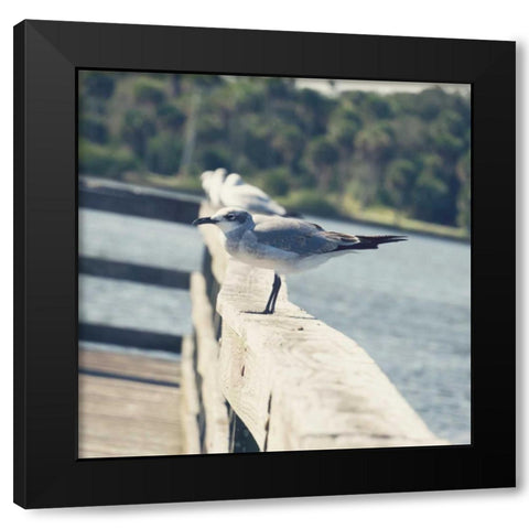Look Out Dock I Black Modern Wood Framed Art Print by Peck, Gail