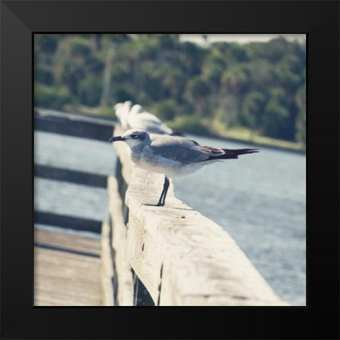 Look Out Dock I Black Modern Wood Framed Art Print by Peck, Gail