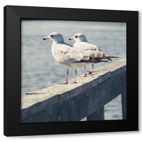 Look Out Dock II Black Modern Wood Framed Art Print by Peck, Gail