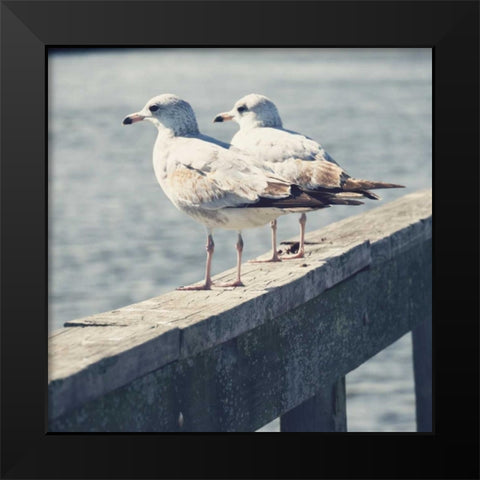 Look Out Dock II Black Modern Wood Framed Art Print by Peck, Gail