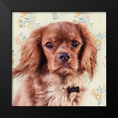 Florals and Spaniels Black Modern Wood Framed Art Print by Josefina