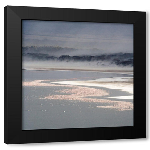 Flamingo Land Square Black Modern Wood Framed Art Print by Walker, Carol