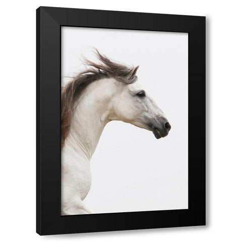 Straight Ahead Black Modern Wood Framed Art Print with Double Matting by Walker, Carol