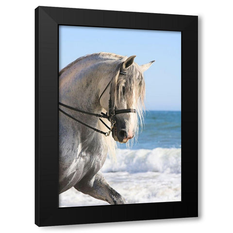 Trot on the Beach Black Modern Wood Framed Art Print with Double Matting by Walker, Carol