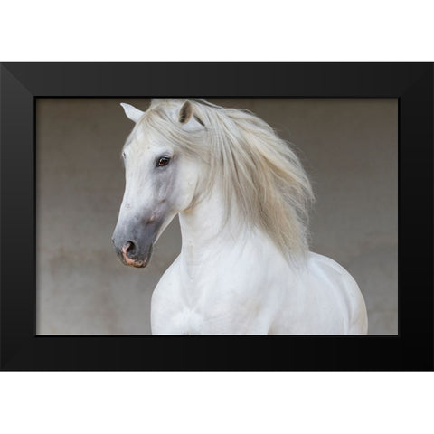 Calm Beauty Black Modern Wood Framed Art Print by Walker, Carol