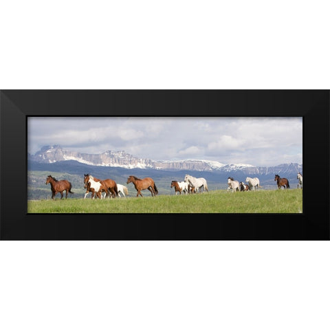 Absaroka Run Black Modern Wood Framed Art Print by Walker, Carol