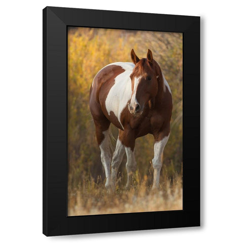 At Liberty Black Modern Wood Framed Art Print by Walker, Carol