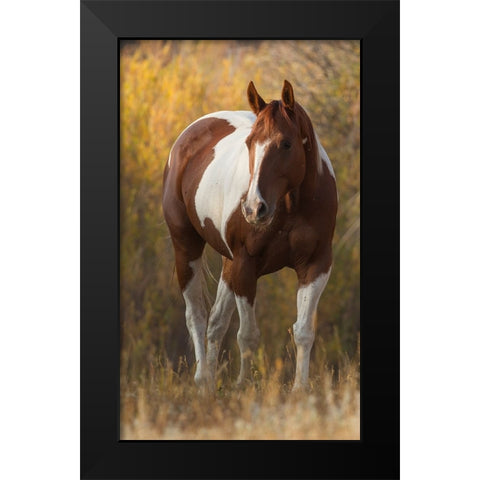 At Liberty Black Modern Wood Framed Art Print by Walker, Carol