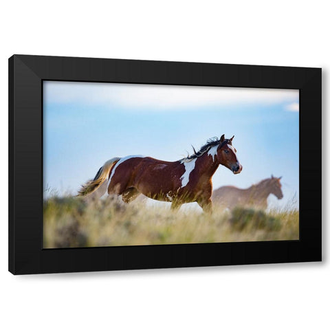 Eye Of The Horse Black Modern Wood Framed Art Print by Walker, Carol