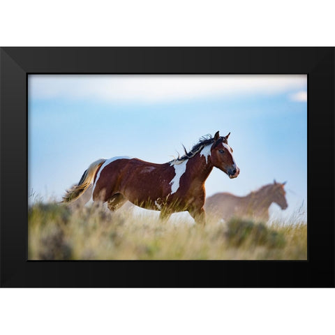 Eye Of The Horse Black Modern Wood Framed Art Print by Walker, Carol