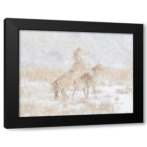 Snow Day For The Mustangs Black Modern Wood Framed Art Print by Walker, Carol
