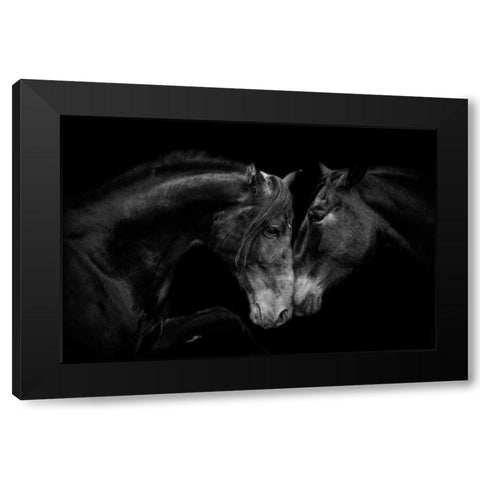 The Stallion and the Marell Black Modern Wood Framed Art Print by Walker, Carol