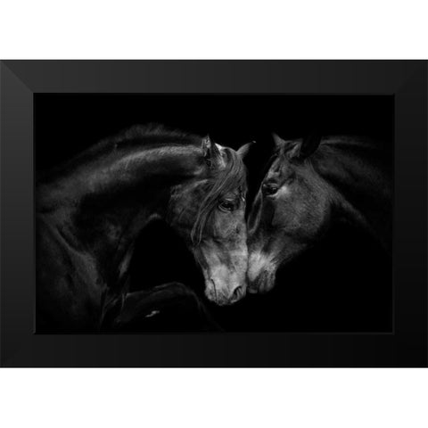 The Stallion and the Marell Black Modern Wood Framed Art Print by Walker, Carol