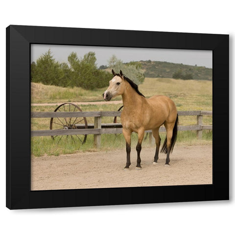 The Ranch Black Modern Wood Framed Art Print by Walker, Carol