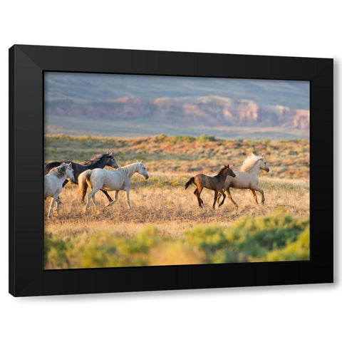 Morning Stroll Black Modern Wood Framed Art Print by Walker, Carol