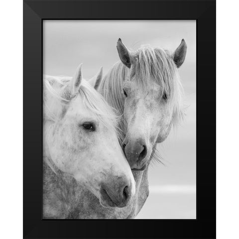 Horse Kisses Black Modern Wood Framed Art Print by Walker, Carol